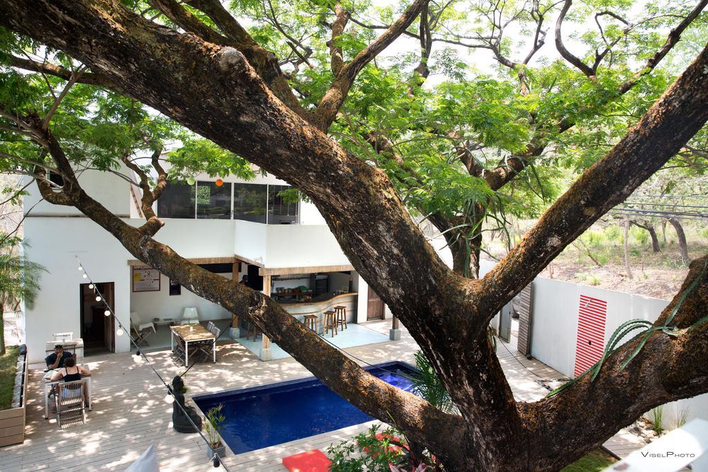 15 Love Bed & Breakfast Tamarindo Ngoại thất bức ảnh